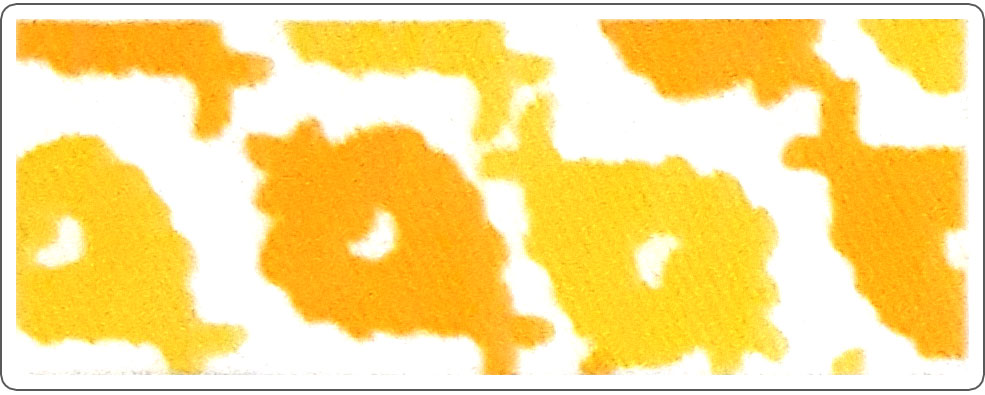 Golden Yellow EF - RR