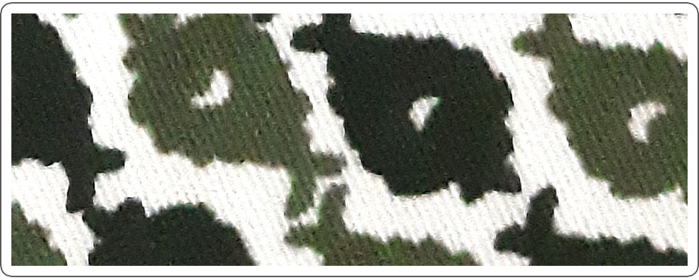 Olive Green EF - RJB